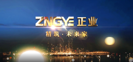壹定发地产集团宣传片
