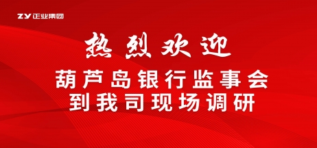 【聚焦产业升级】葫芦岛银行监事会赴壹定发集团专项调研